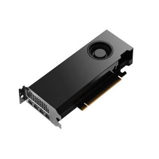 NVIDIA RTX PRO 2000 Blackwell 16GB GDDR7 4*Mini-DP PCi Ex 5.0 16x - Versione Bulk