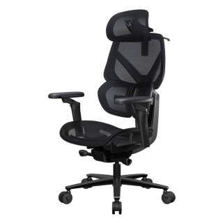ThunderX3 FLEX PRO Gaming Chair